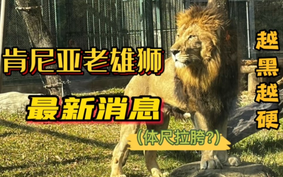 短兵相接:战线拉得越长厮杀越激烈 短兵相接:战线拉得越长厮杀越激烈