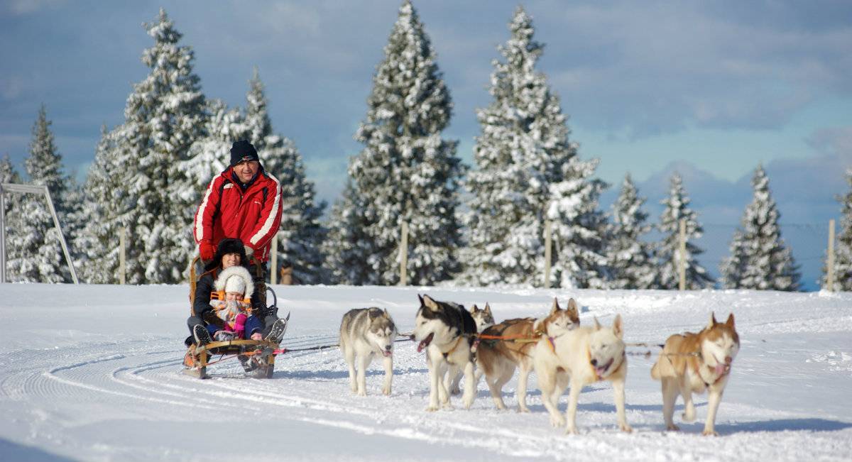 斯洛文尼亚滑雪选手激情滑行,豪取胜利 斯洛文尼亚滑雪选手激情滑行,豪取胜利