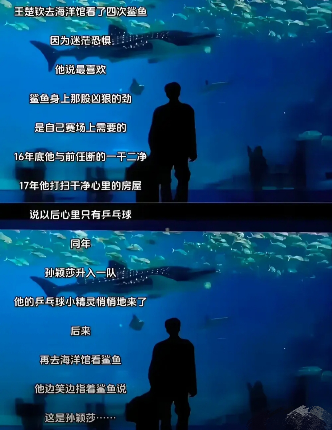 力挽狂澜:球队临危受命展现拯救之力 力挽狂澜:球队临危受命展现拯救之力